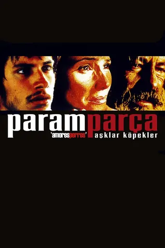 Paramparça Aşklar Köpekler Film izle